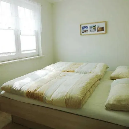 Kuestenwald - Abendsonne