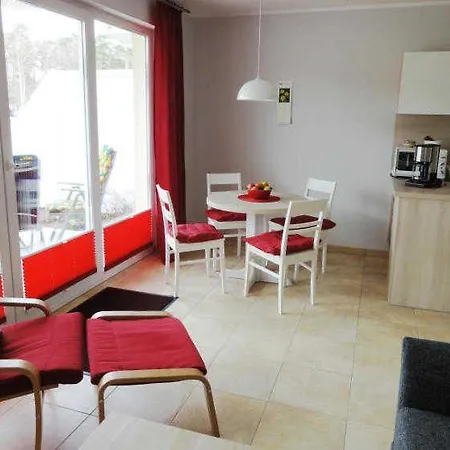 Kuestenwald - Abendsonne *