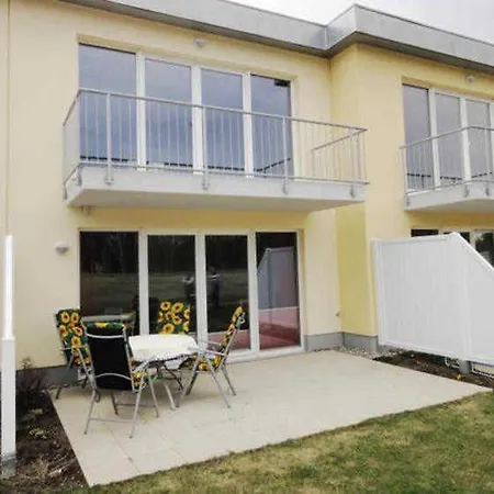 Kuestenwald - Abendsonne